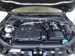 SKODA Octavia 3ª serie - immagine 15