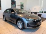 SKODA OCTAVIA EXECUTIVE - immagine 2