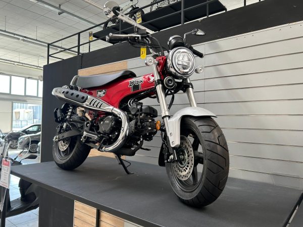 Honda DAX 125 - immagine 3
