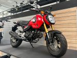 Honda MSX 125 Grom - immagine 3